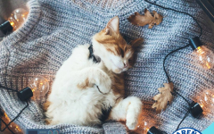 BLESK ČISTIAREŇ ODEVOV DENNE 10:00-18:00