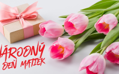 DEŇ MATIEK