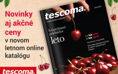 online katalóg TESCOMA 2023