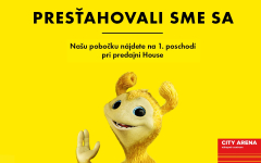 RAIFFEISEN BANKA V NOVÝCH PRIESTOROCH