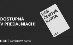 DOCHÁDZAJÚ VÁM NÁPADY NA DARČEKY?